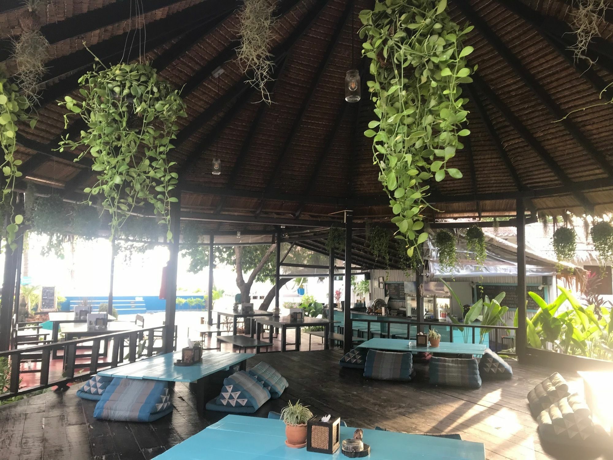 Sarana (adults Only)