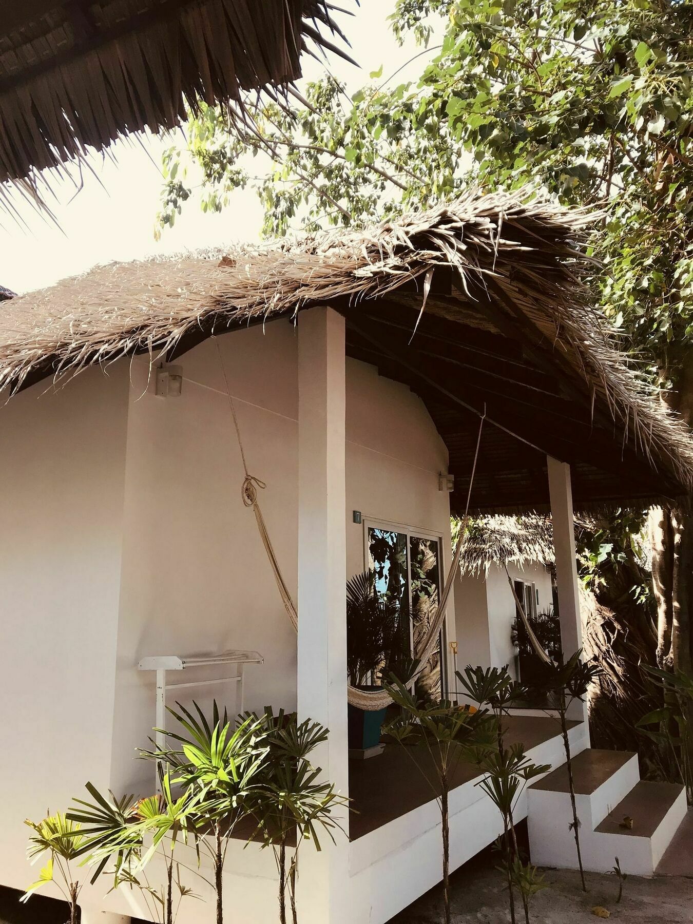 Sarana (adults Only)